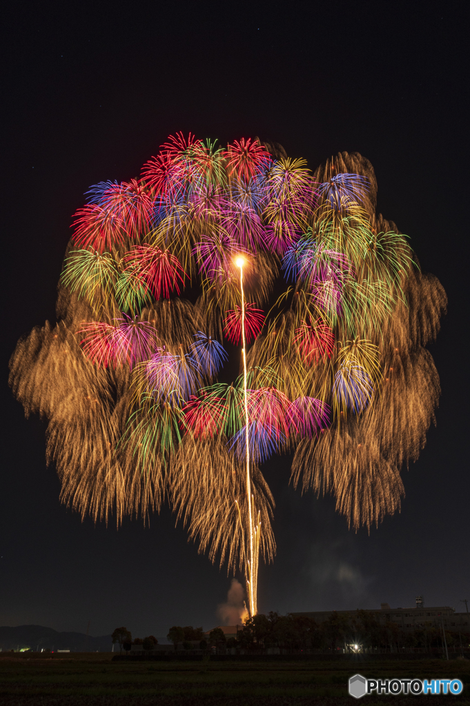 昇り銀竜付二度咲き百花園