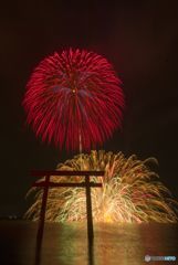 鹿嶋市花火１