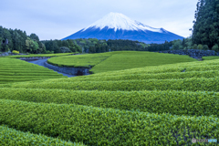 静寂の時