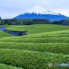 静寂の時