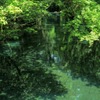 初夏の誘い