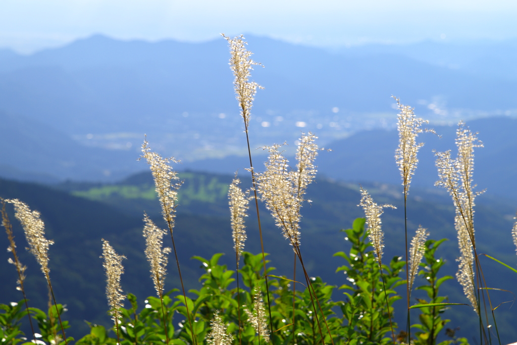 鳥兜山山頂（追加）