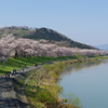 船岡一目千本桜①