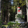 瑞巌寺参道の風景①