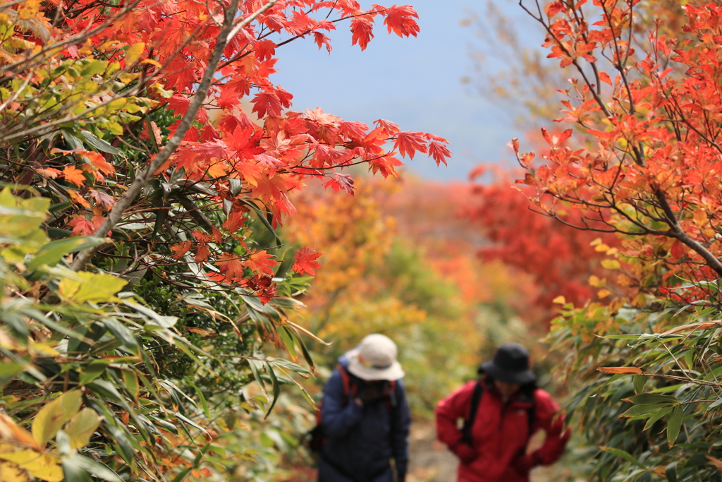 栗駒山1003③