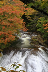 関山大滝④