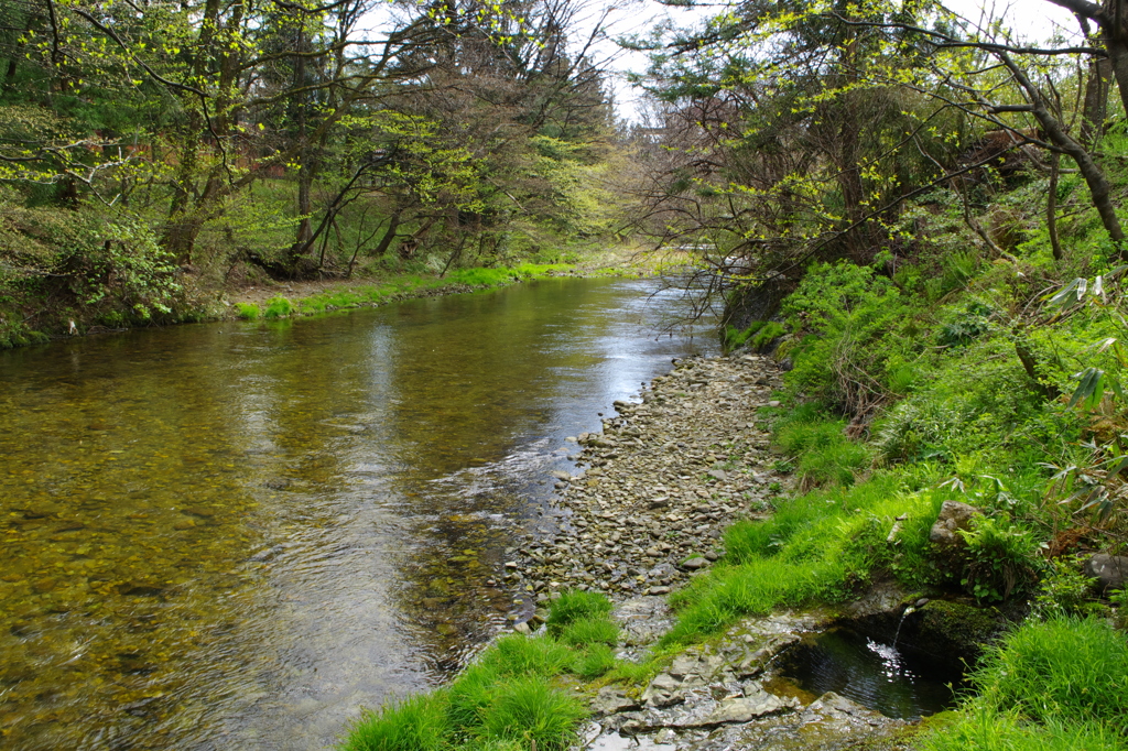 広瀬川源流②