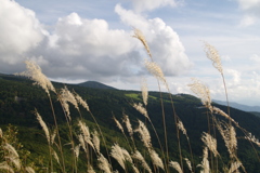 鳥兜山山頂①