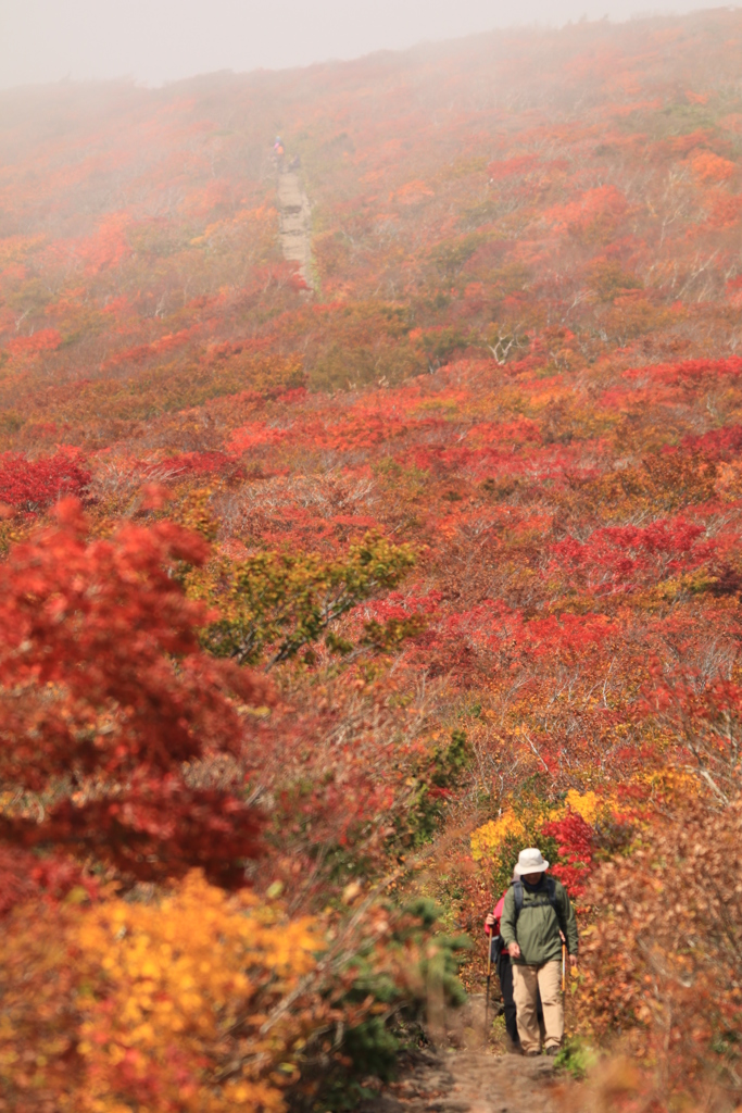 栗駒山1003⑤