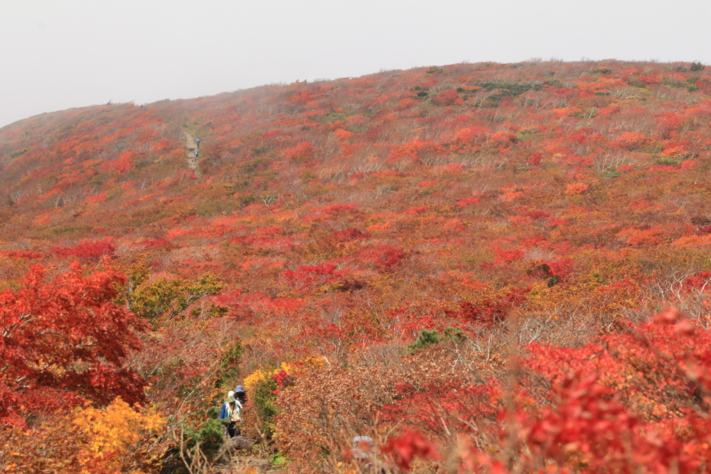 栗駒山1003①