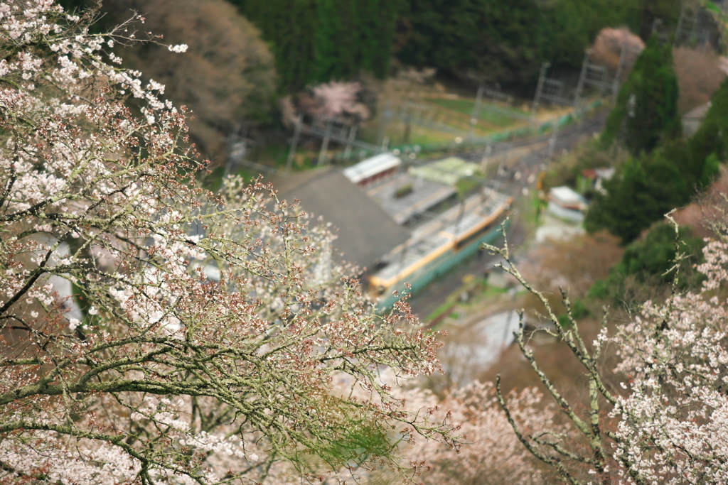 雨のバカヤロー(ノ-_-)ノ~┻━┻