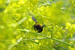 覗き見
