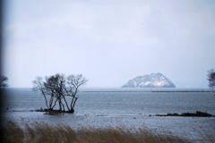 冬の琵琶湖