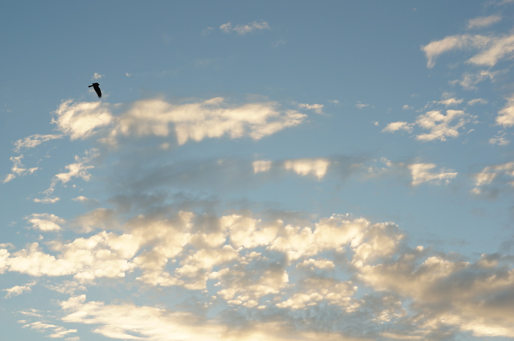 秋空