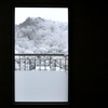朝