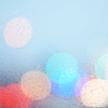 雨降り たまぼけさん。