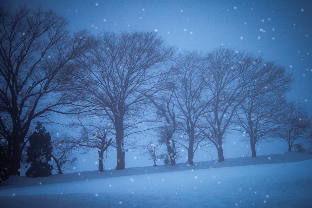 雪国