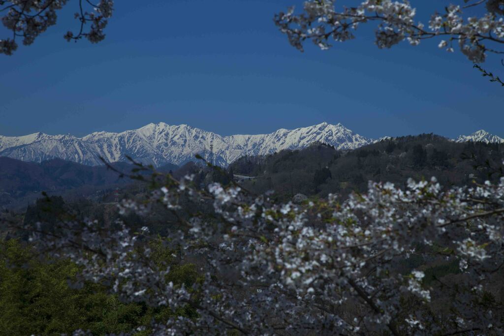 北信濃の春3
