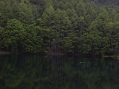 御射鹿池に遊ぶ