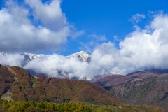 白馬鑓ヶ岳三段紅葉１