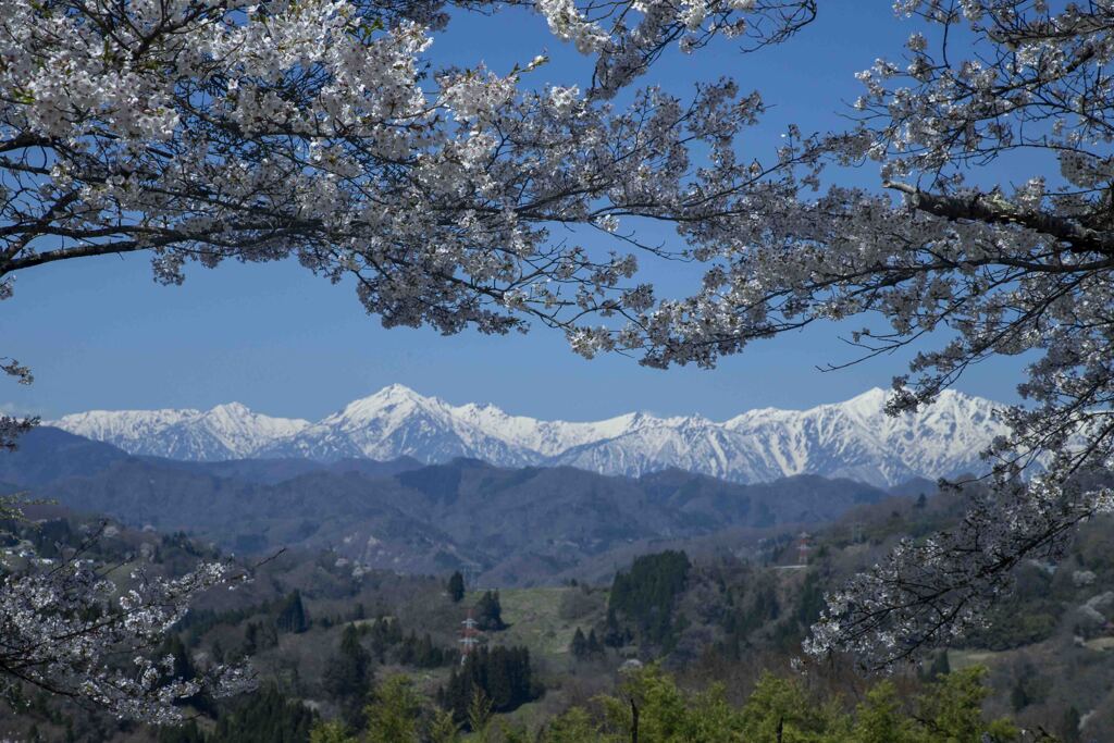北信濃の春