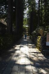 光前寺参道の木漏れ日