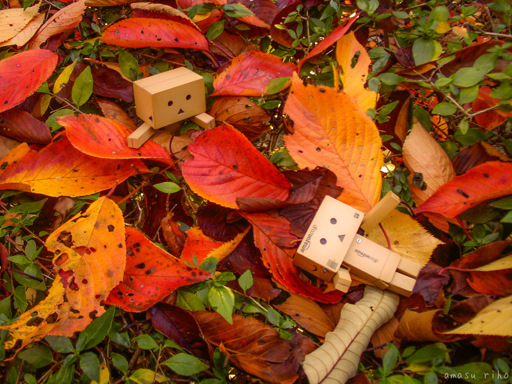 "play on the leaf"