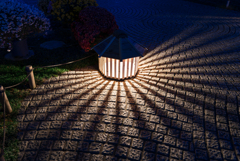 長谷寺　紅葉ライトアップ