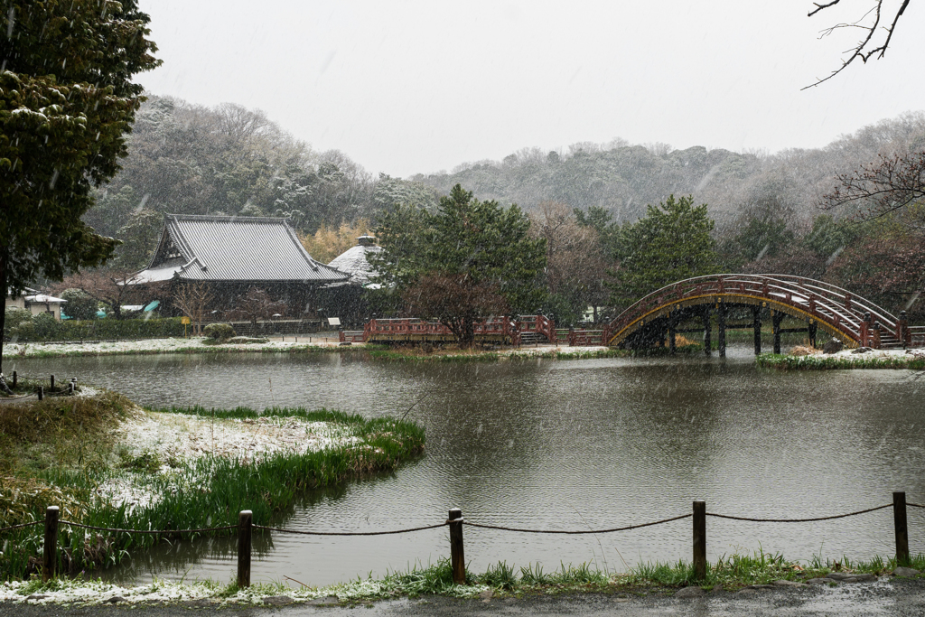 雪の日の称名寺