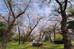 小田原の春　15-30mm