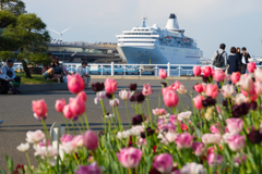 ぱしふぃっくびいなす