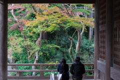 鎌倉・妙本寺