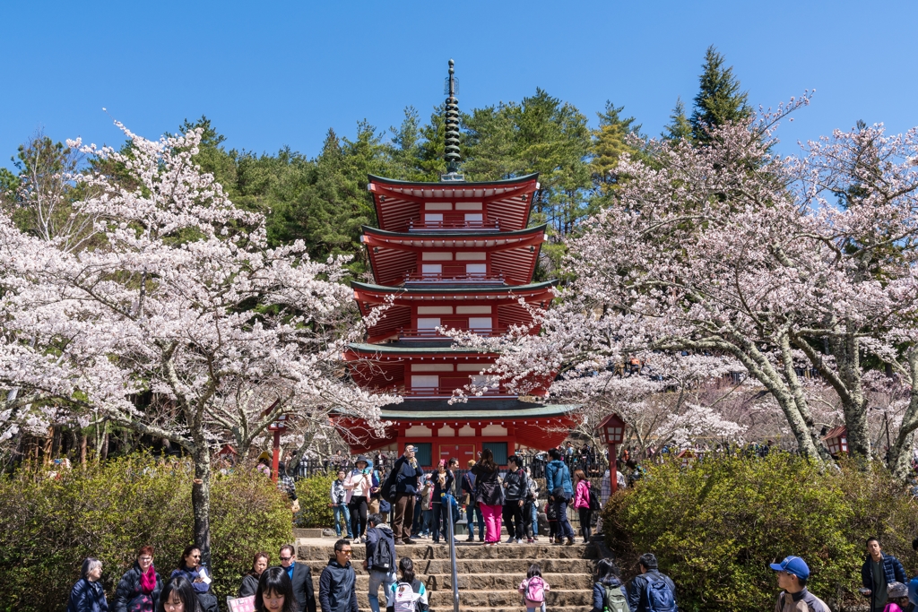 新倉山浅間公園