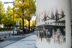 山下公園・銀杏並木