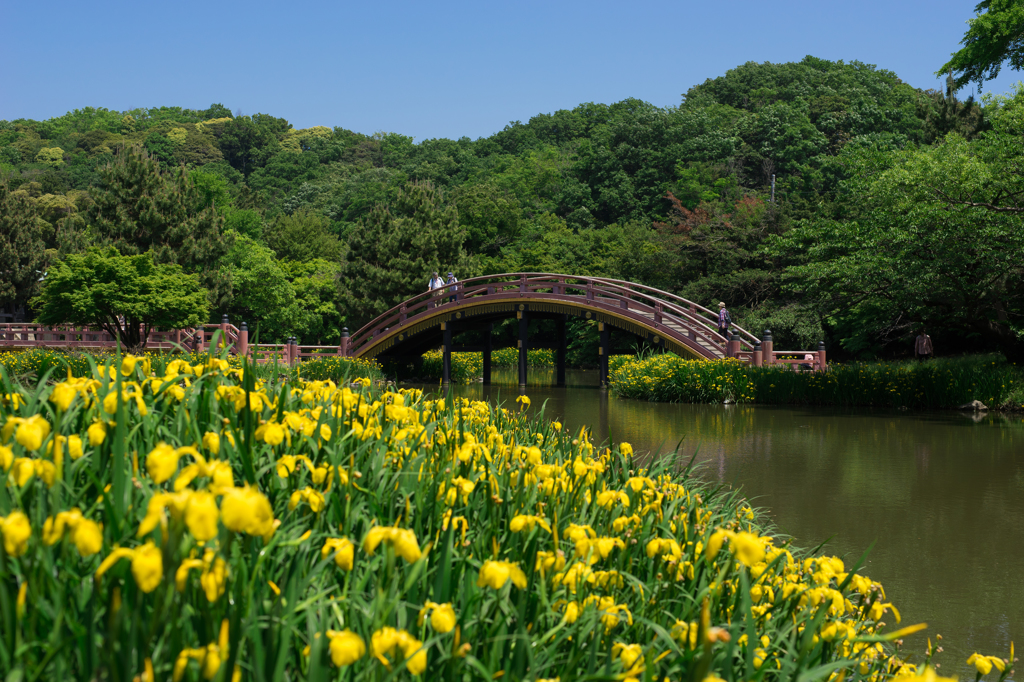 五月晴れの称名寺