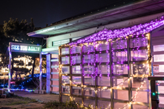 江ノ島ヨットハーバーイルミネーション