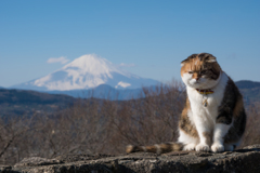 吾妻山公園のチャミちゃん