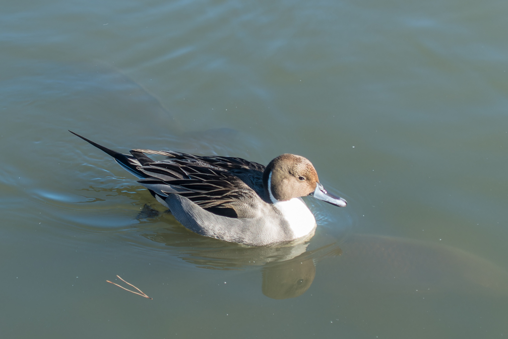 三渓園フォトコンテスト表彰式