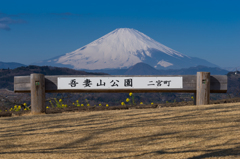 吾妻山公園からの富士山