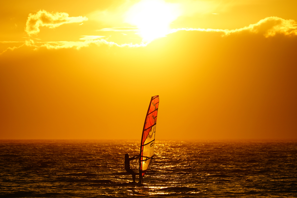 黄金色の森戸海岸