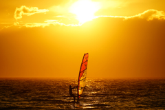 黄金色の森戸海岸