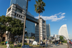 帆船日本丸　総帆展帆・満船飾