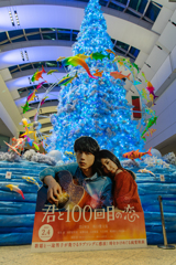 みなとみらいクリスマスツリー