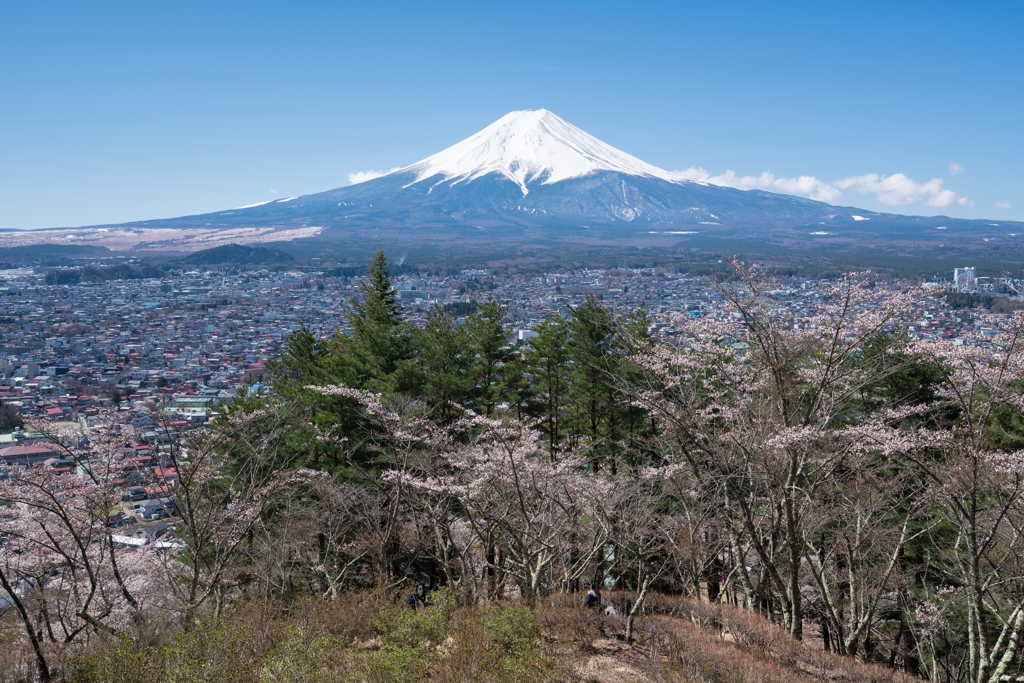 新倉山浅間公園