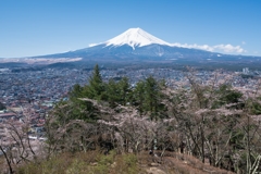 新倉山浅間公園
