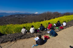 晴天の吾妻山公園