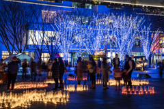 みなとみらいイルミネーション