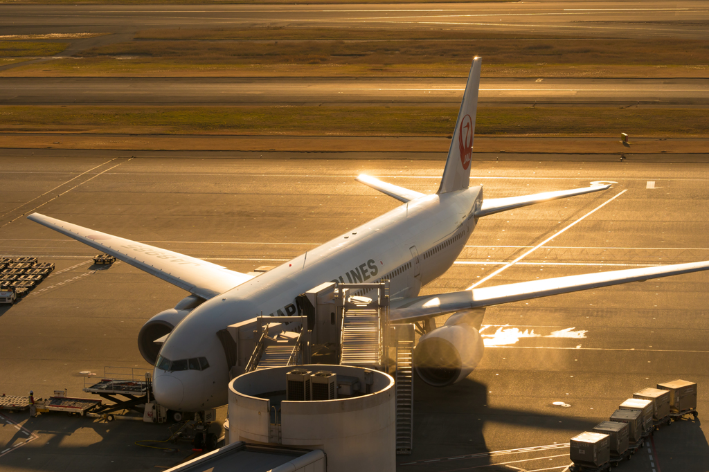 羽田空港　第1ターミナルより