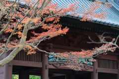 鎌倉・妙本寺