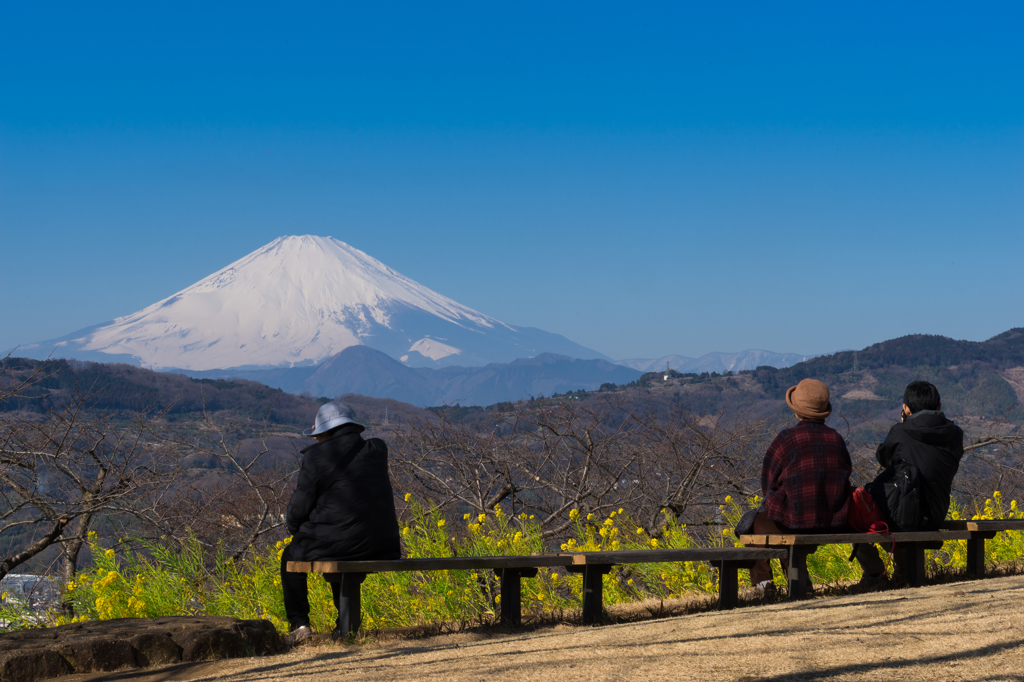 吾妻山公園からの富士山